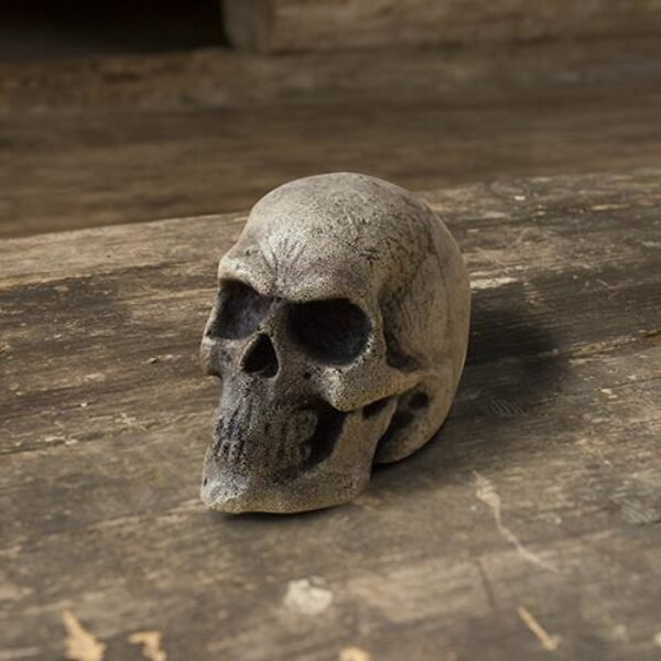 Small Skull - Bone