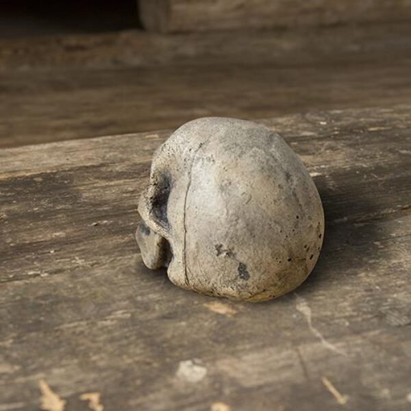 Small Skull - Bone