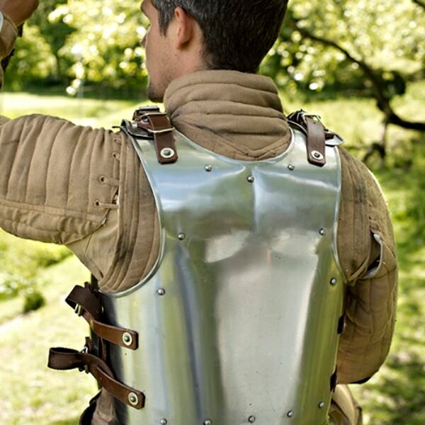 Back Plate Warrior